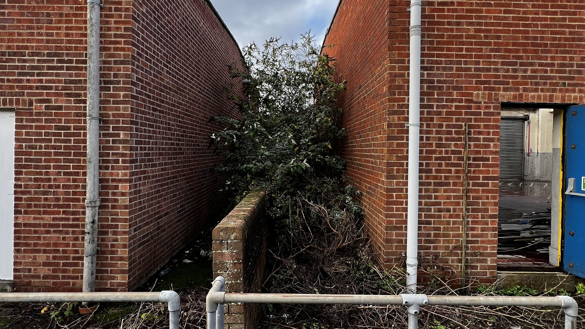 Who Should You Contact First — The Council, a Surveyor, or Your Neighbour St albans?
